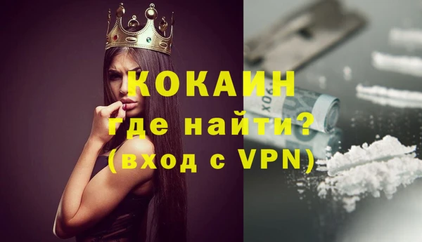стафф Алзамай