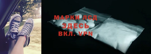 стафф Алзамай