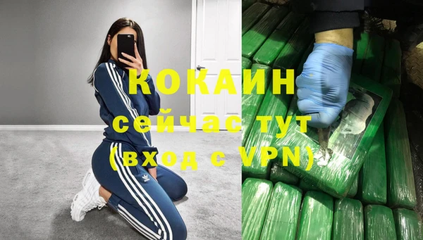 стафф Алзамай
