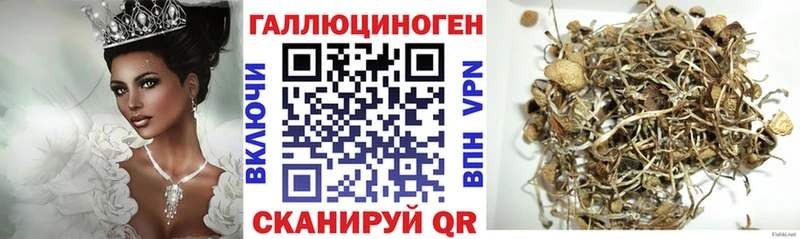Псилоцибиновые грибы ЛСД kraken ссылки Березники